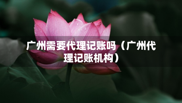 廣州需要代理記賬嗎（廣州代理記賬機(jī)構(gòu)）