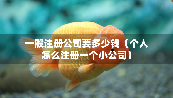 一般注冊公司要多少錢（個(gè)人怎么注冊一個(gè)小公司）