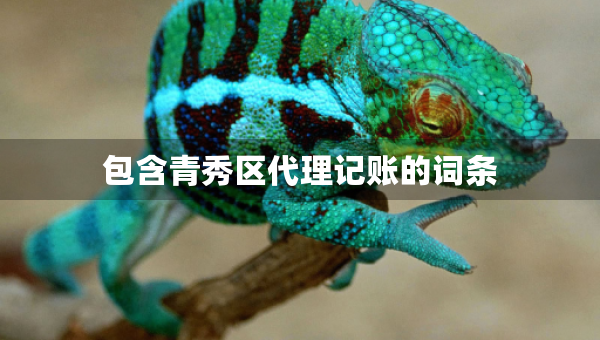 包含青秀區(qū)代理記賬的詞條