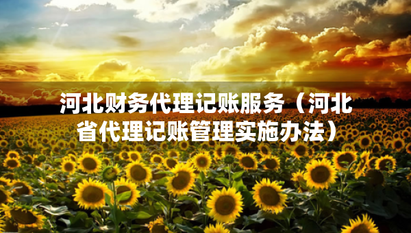 河北財務代理記賬服務（河北省代理記賬管理實施辦法）
