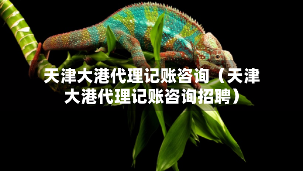 天津大港代理記賬咨詢(xún)（天津大港代理記賬咨詢(xún)招聘）