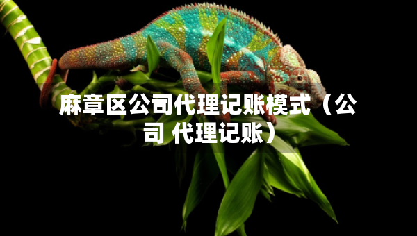 麻章區(qū)公司代理記賬模式（公司 代理記賬）