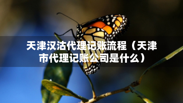 天津漢沽代理記賬流程（天津市代理記賬公司是什么）