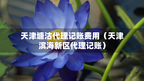 天津塘沽代理記賬費(fèi)用（天津?yàn)I海新區(qū)代理記賬）