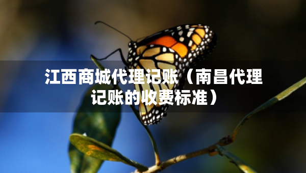 江西商城代理記賬（南昌代理記賬的收費(fèi)標(biāo)準(zhǔn)）