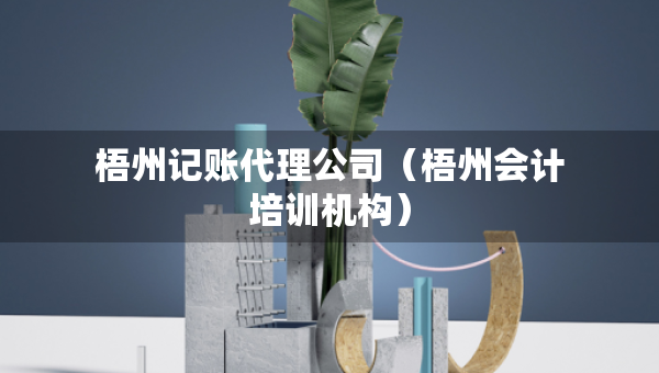 梧州記賬代理公司（梧州會(huì)計(jì)培訓(xùn)機(jī)構(gòu)）