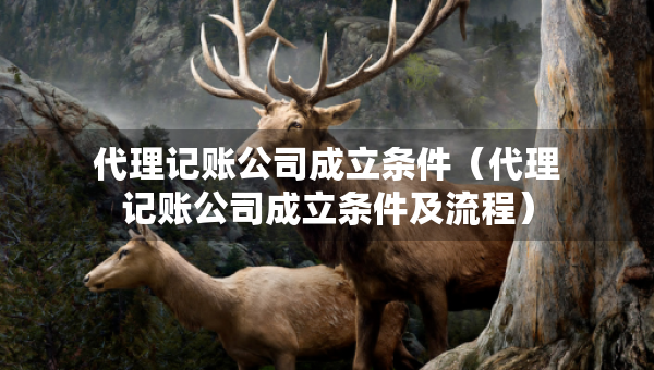 代理記賬公司成立條件（代理記賬公司成立條件及流程）