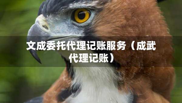 文成委托代理記賬服務(wù)（成武代理記賬）