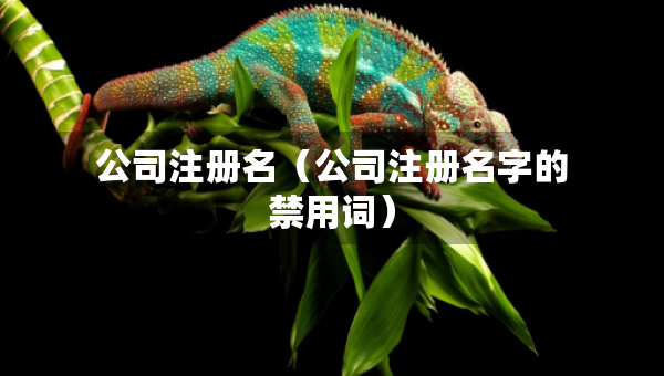 公司注冊名（公司注冊名字的禁用詞）