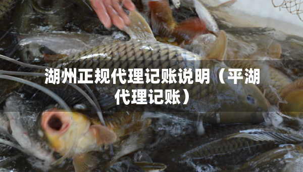 湖州正規(guī)代理記賬說(shuō)明（平湖代理記賬）