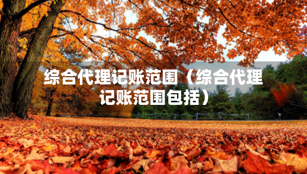 綜合代理記賬范圍（綜合代理記賬范圍包括）