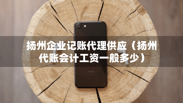 揚州企業(yè)記賬代理供應(yīng)（揚州代賬會計工資一般多少）