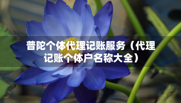 普陀個(gè)體代理記賬服務(wù)（代理記賬個(gè)體戶名稱大全）
