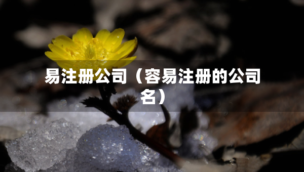 易注冊公司（容易注冊的公司名）