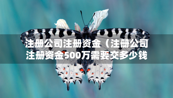 注冊公司注冊資金（注冊公司注冊資金500萬需要交多少錢）