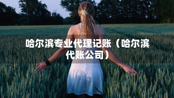 哈爾濱專(zhuān)業(yè)代理記賬（哈爾濱代賬公司）