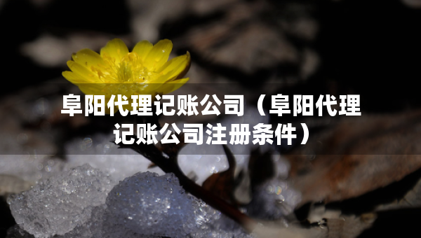 阜陽代理記賬公司（阜陽代理記賬公司注冊條件）