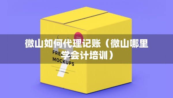 微山如何代理記賬（微山哪里學(xué)會(huì)計(jì)培訓(xùn)）