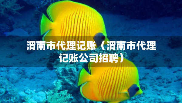 渭南市代理記賬（渭南市代理記賬公司招聘）