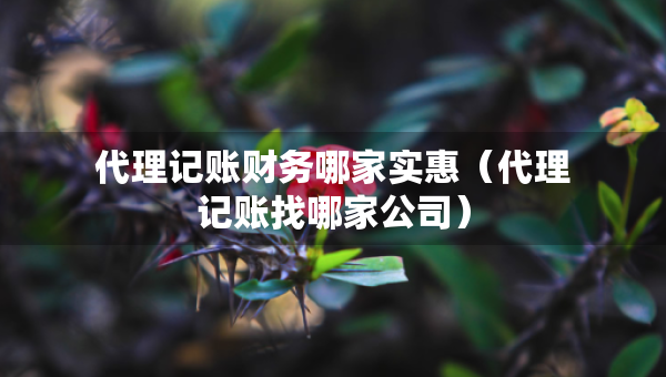 代理記賬財務(wù)哪家實惠（代理記賬找哪家公司）