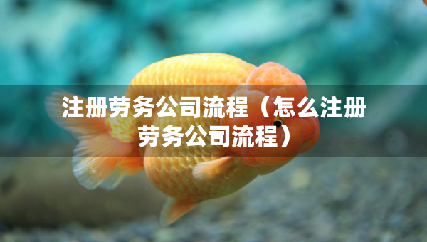 注冊(cè)勞務(wù)公司流程（怎么注冊(cè)勞務(wù)公司流程）