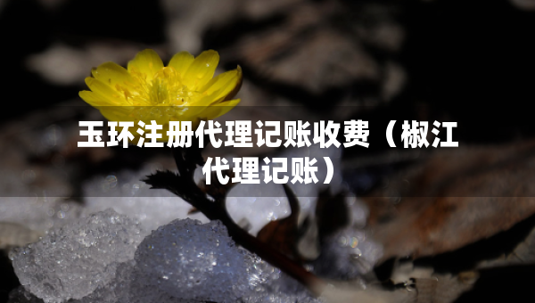 玉環(huán)注冊(cè)代理記賬收費(fèi)（椒江代理記賬）
