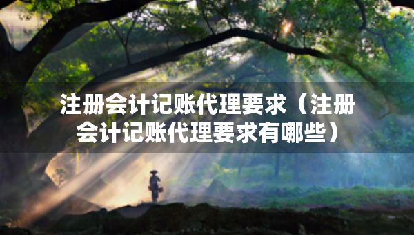 注冊會計記賬代理要求（注冊會計記賬代理要求有哪些）