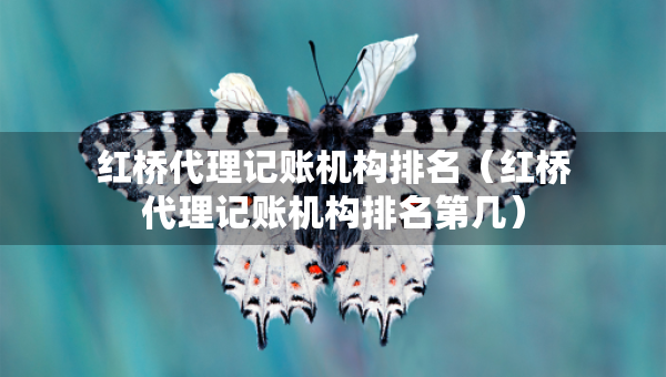 紅橋代理記賬機(jī)構(gòu)排名（紅橋代理記賬機(jī)構(gòu)排名第幾）