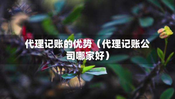 代理記賬的優(yōu)勢(shì)（代理記賬公司哪家好）