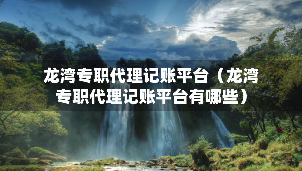 龍灣專職代理記賬平臺(tái)（龍灣專職代理記賬平臺(tái)有哪些）