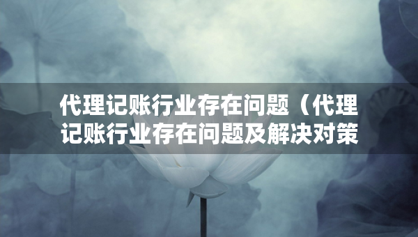 代理記賬行業(yè)存在問題（代理記賬行業(yè)存在問題及解決對策）
