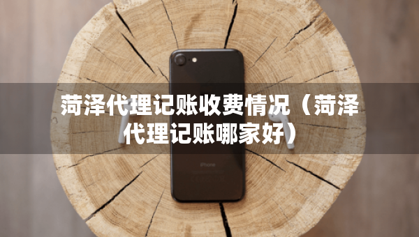 菏澤代理記賬收費情況（菏澤代理記賬哪家好）