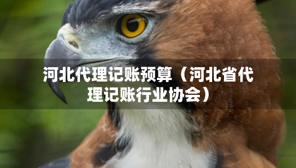 河北代理記賬預(yù)算（河北省代理記賬行業(yè)協(xié)會(huì)）