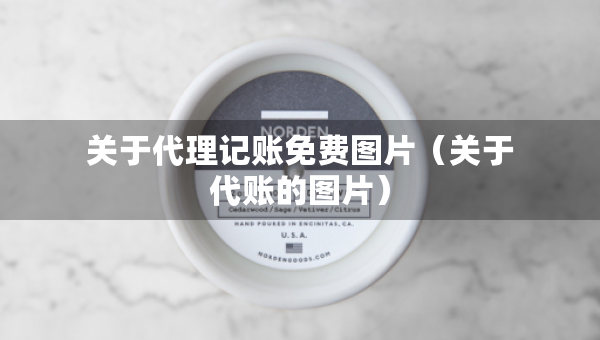 關(guān)于代理記賬免費圖片（關(guān)于代賬的圖片）