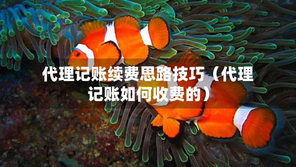 代理記賬續(xù)費(fèi)思路技巧（代理記賬如何收費(fèi)的）