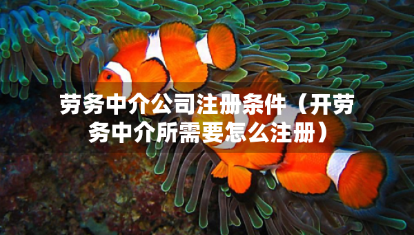 勞務中介公司注冊條件（開勞務中介所需要怎么注冊）