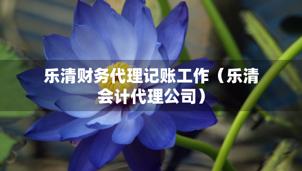 樂(lè)清財(cái)務(wù)代理記賬工作（樂(lè)清會(huì)計(jì)代理公司）