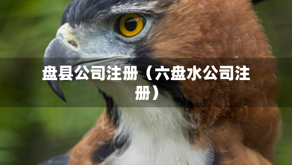 盤縣公司注冊（六盤水公司注冊）