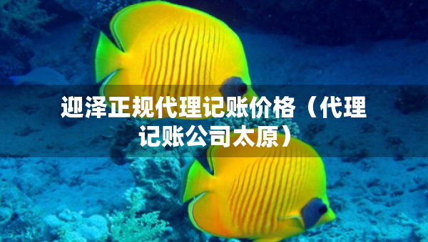 迎澤正規(guī)代理記賬價(jià)格（代理記賬公司太原）