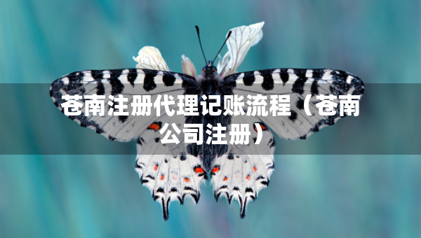 蒼南注冊(cè)代理記賬流程（蒼南公司注冊(cè)）