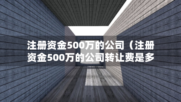 注冊資金500萬的公司（注冊資金500萬的公司轉(zhuǎn)讓費是多少）