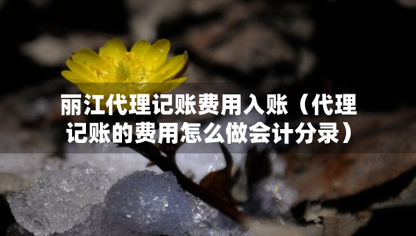 麗江代理記賬費(fèi)用入賬（代理記賬的費(fèi)用怎么做會(huì)計(jì)分錄）