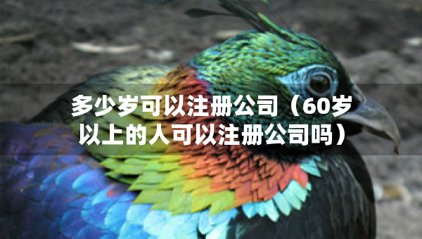 多少歲可以注冊公司（60歲以上的人可以注冊公司嗎）