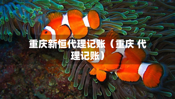 重慶新恒代理記賬（重慶 代理記賬）
