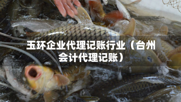 玉環(huán)企業(yè)代理記賬行業(yè)（臺州會計(jì)代理記賬）