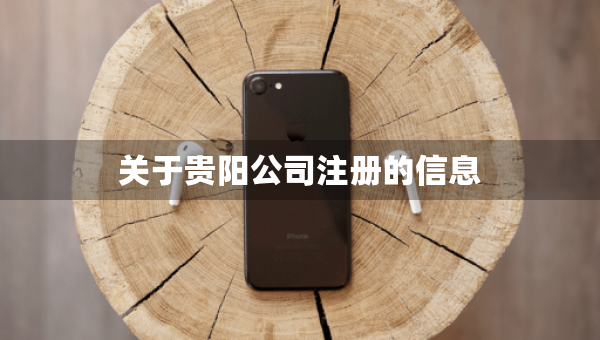 關于貴陽公司注冊的信息