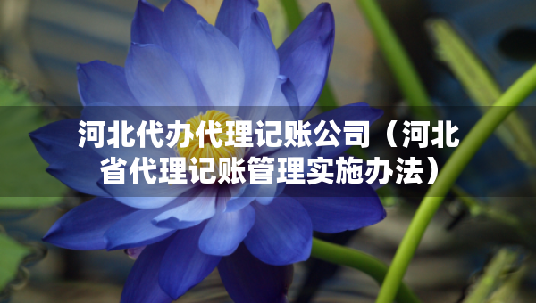 河北代辦代理記賬公司（河北省代理記賬管理實施辦法）