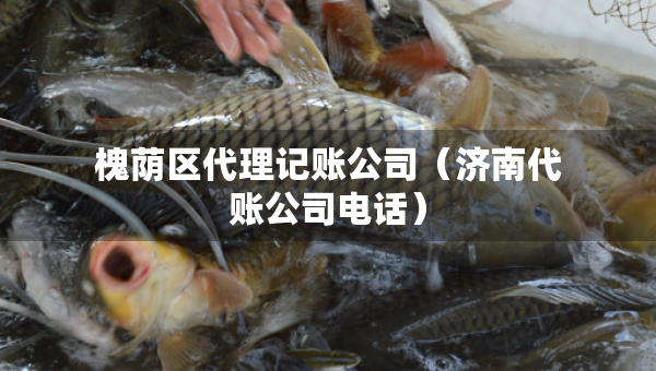 槐蔭區(qū)代理記賬公司（濟(jì)南代賬公司電話）