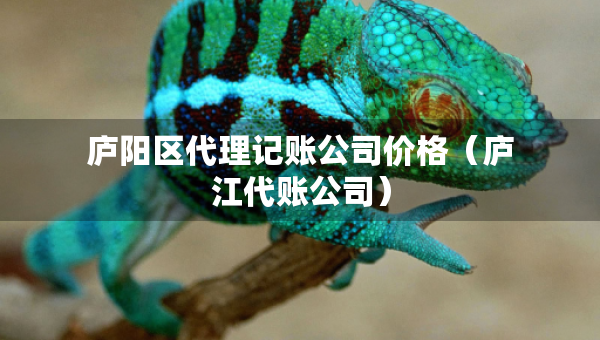 廬陽區(qū)代理記賬公司價格（廬江代賬公司）