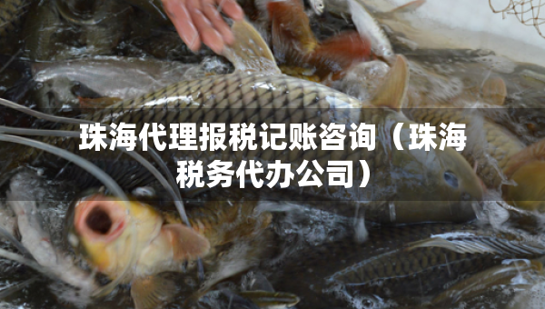 珠海代理報(bào)稅記賬咨詢（珠海稅務(wù)代辦公司）
